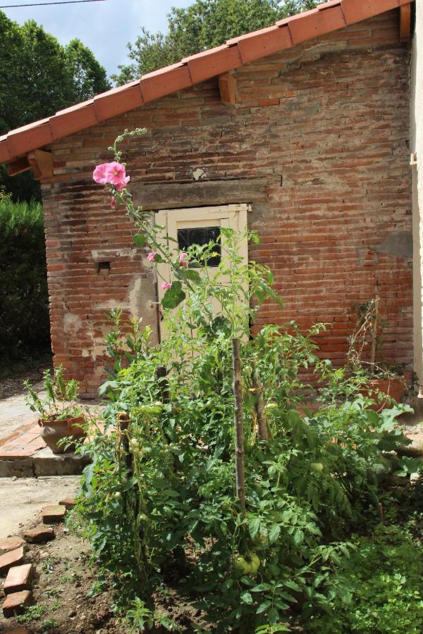 Ferme Aquinaut - Le Paradis Montesquieu-Volvestre Kültér fotó