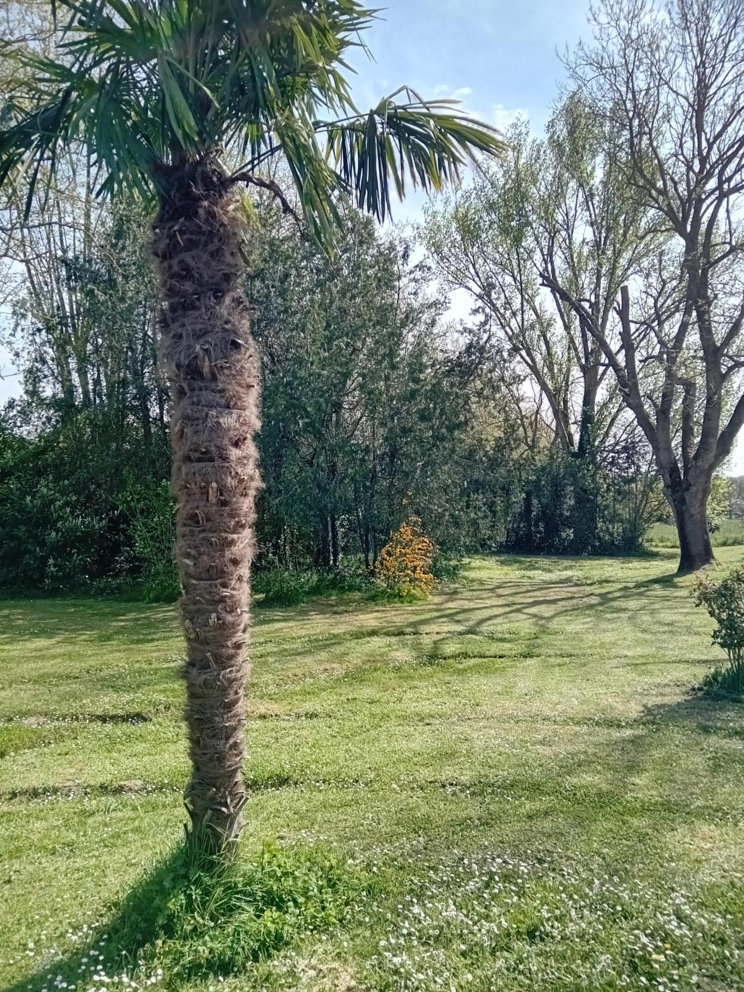 Ferme Aquinaut - Le Paradis Montesquieu-Volvestre Kültér fotó